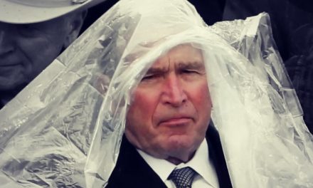 Rehabbing Bush Jr.