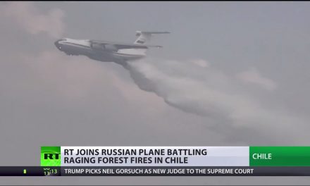 Real wild fire fighting