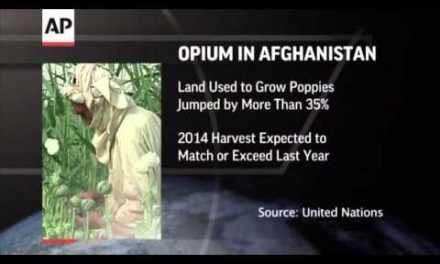 US fails to stem Afghan opium tide