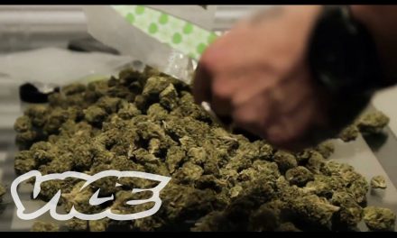 Inside the Canadian weed business
