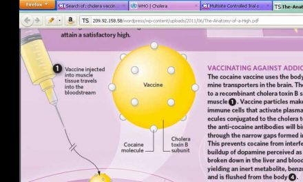 Cocaine vaccine uses mutated cholera bacteria
