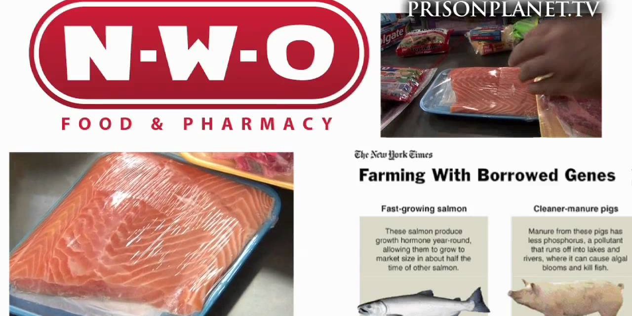 The war on food – and health