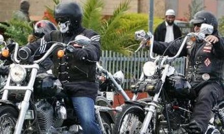 What motorcycle gangs most remind me of