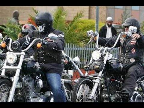 What motorcycle gangs most remind me of