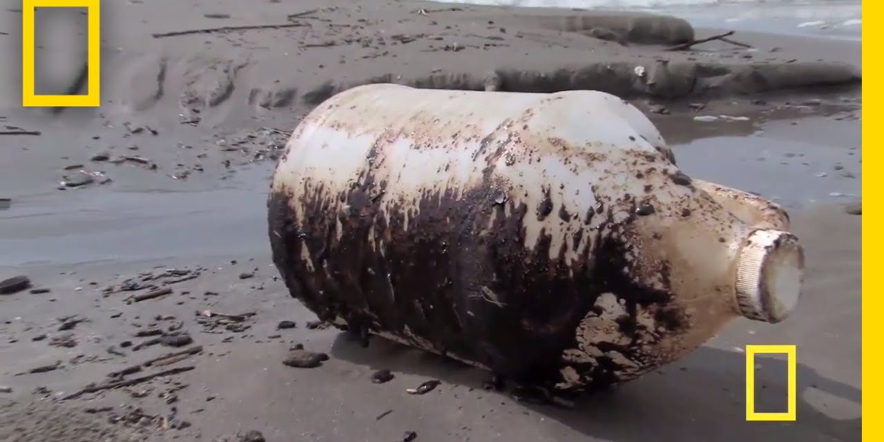 Freedom destroyed