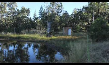 Man begins 30 day jail sentence for<br>collecting rainwater on his own property