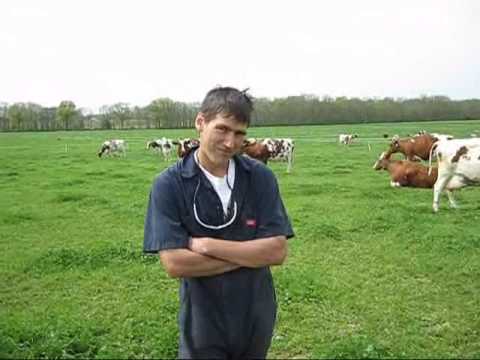 Questions about raw milk? Ask a farmer