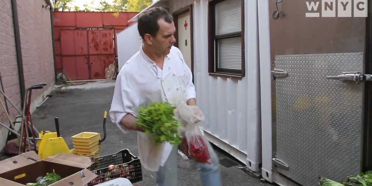 Rural farmers unite to feed Wall Street protestors
