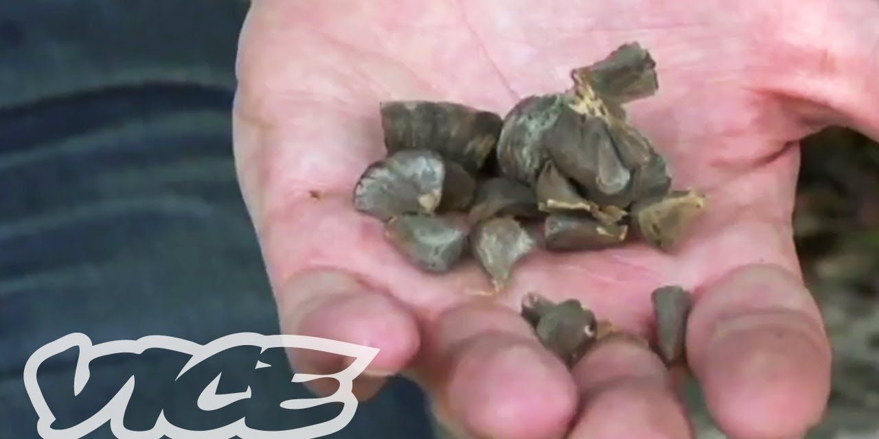 The scariest ‘mind control’ drug in the world