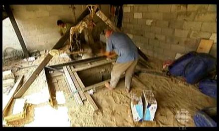 AP bias in Gaza reporting