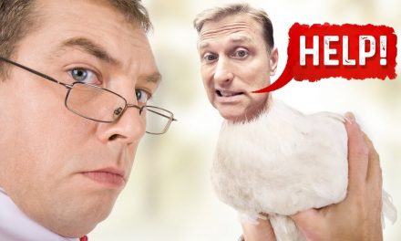The truth about chicken