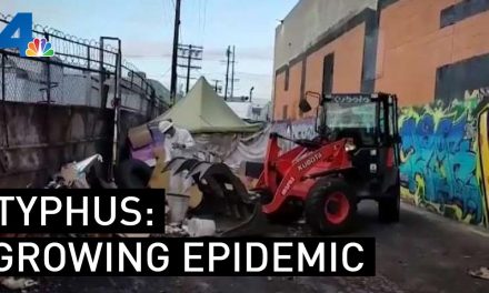 Typhus USA
