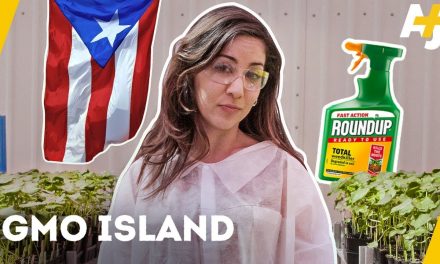 Bayer’s hidden Frankenstein workshop in the US Caribbean