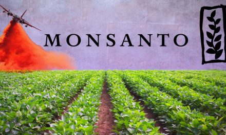 Who controls the world’s food supply?