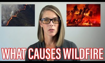 The cause of the wild fires