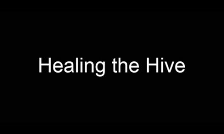 Healing the Hive