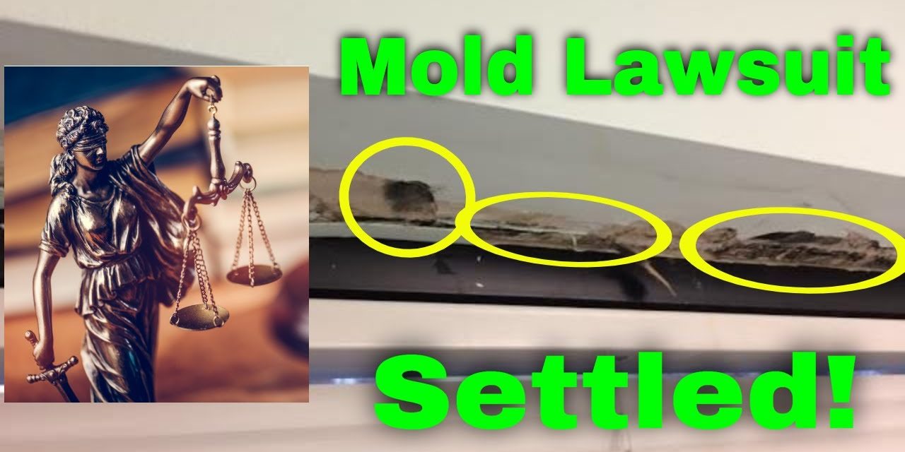 How mold makes people sick