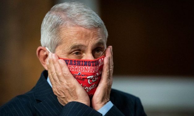 What knocked Fauci out? – Part Two