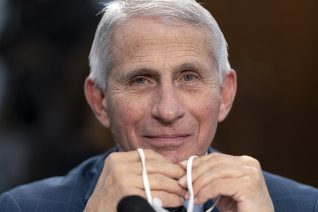 What knocked Fauci out? – Part Three