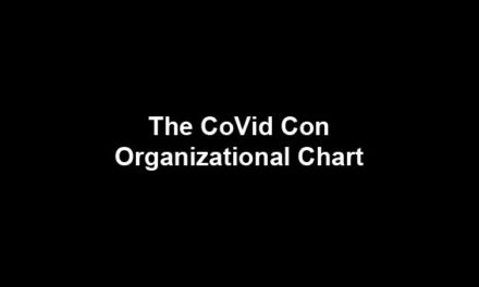 The CoVid Con Org chart