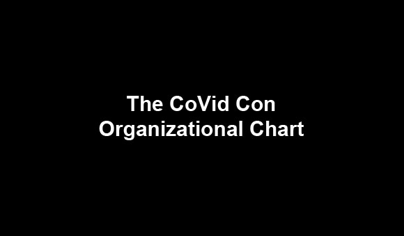 The CoVid Con Org chart