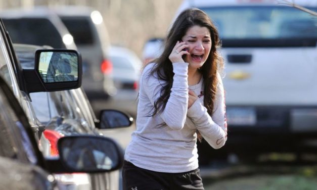 The Sandy Hook story does not add up