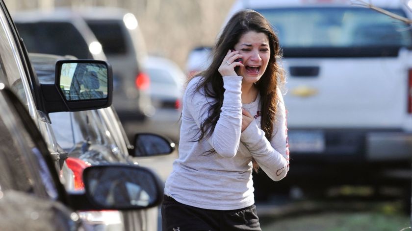 The Sandy Hook story does not add up