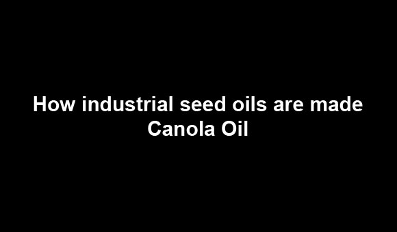Industrial seed oil