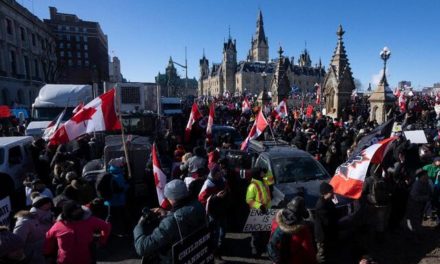 What the Canadian demonstrations looked like
