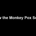 The Monkey Pox scam