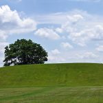 The original 2020 Brasscheck mound trip