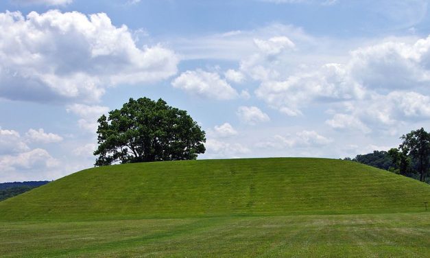 The original 2020 Brasscheck mound trip