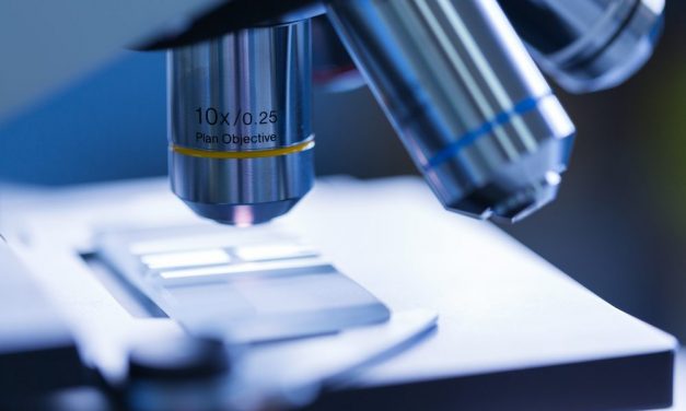 Shutting down cancer research as a matter of NATIONAL policy