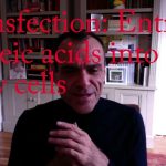 Mechanism of injury uncovered?